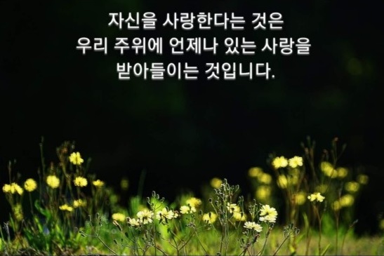 b1affb468132419795db1184184e0ad7_1531815008_2784.jpg